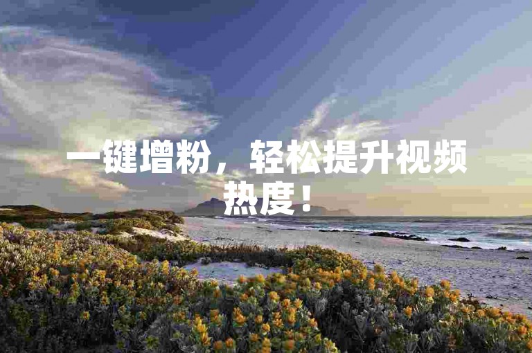 一键增粉，轻松提升视频热度！
