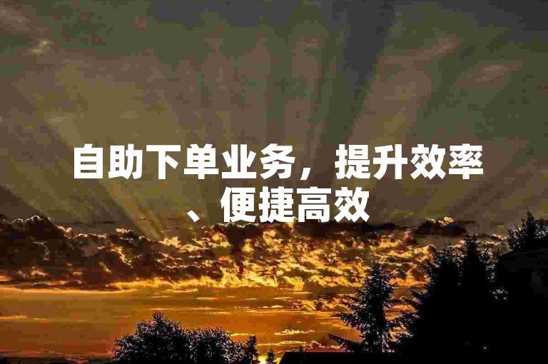 自助下单业务，提升效率、便捷高效