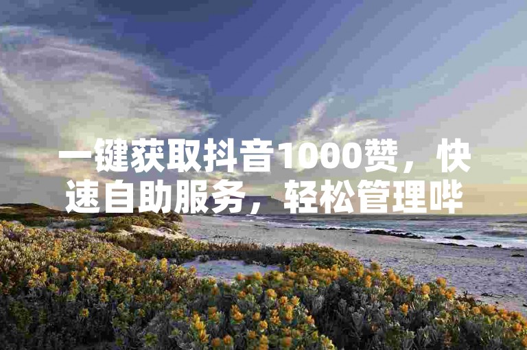 一键获取抖音1000赞，快速自助服务，轻松管理哔哩哔哩账号。