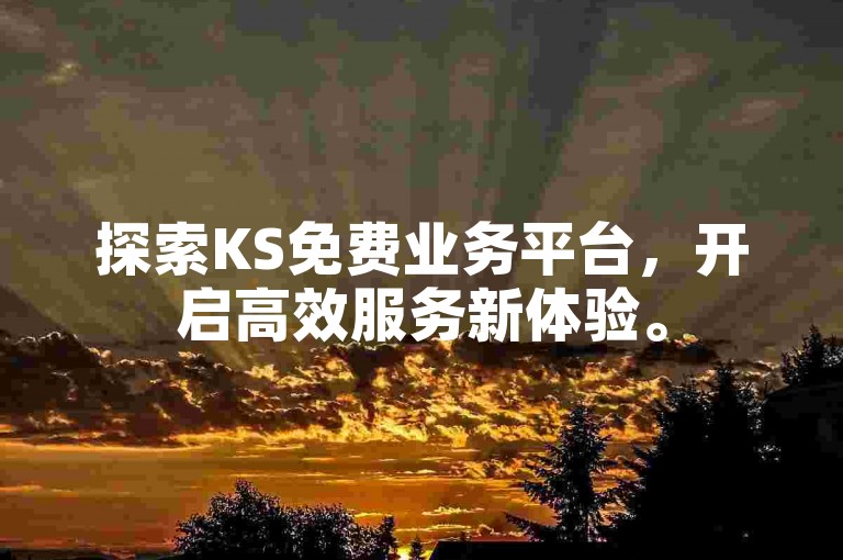 探索KS免费业务平台，开启高效服务新体验。