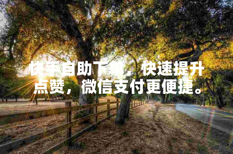 快手自助下单，快速提升点赞，微信支付更便捷。