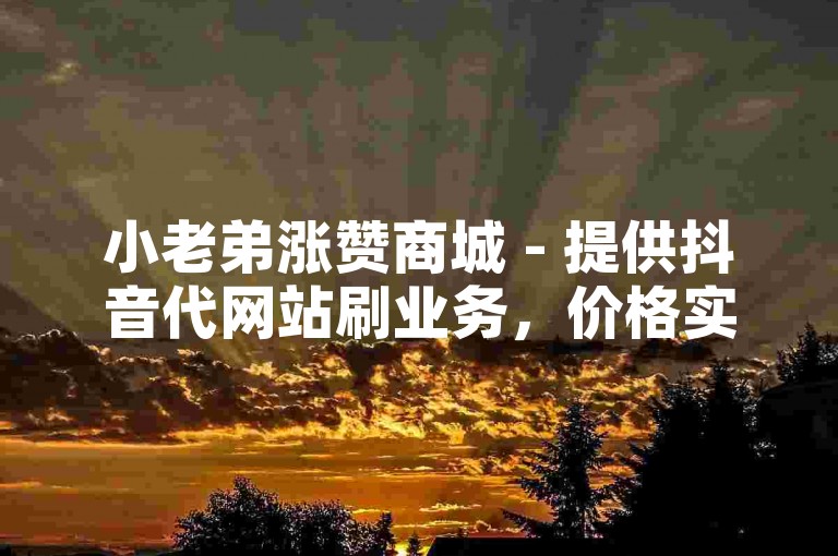 小老弟涨赞商城 - 提供抖音代网站刷业务，价格实惠。