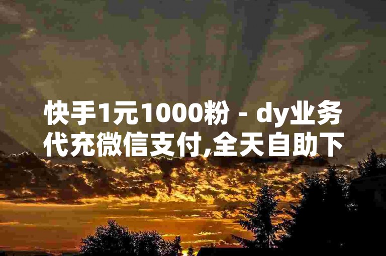 快手1元1000粉 - dy业务代充微信支付,全天自助下单。