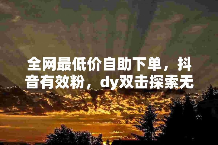 全网最低价自助下单，抖音有效粉，dy双击探索无界。