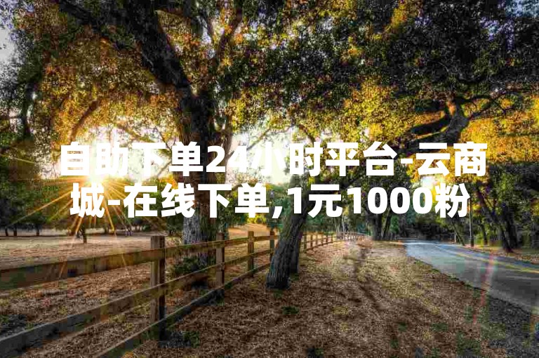 自助下单24小时平台-云商城-在线下单,1元1000粉下单平台