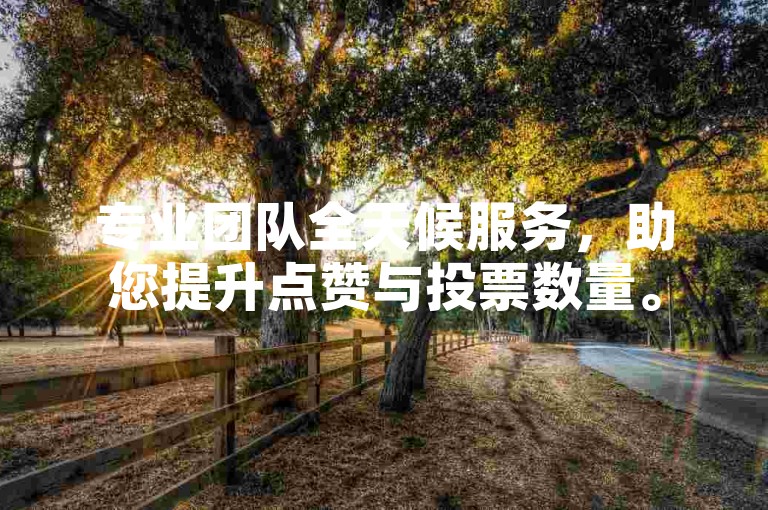 专业团队全天候服务，助您提升点赞与投票数量。