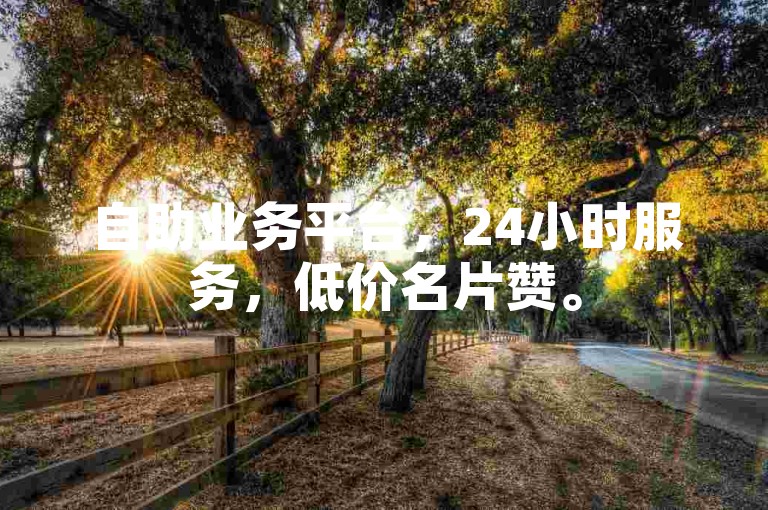 自助业务平台，24小时服务，低价名片赞。