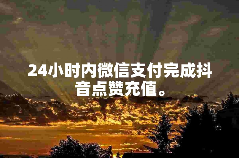 24小时内微信支付完成抖音点赞充值。