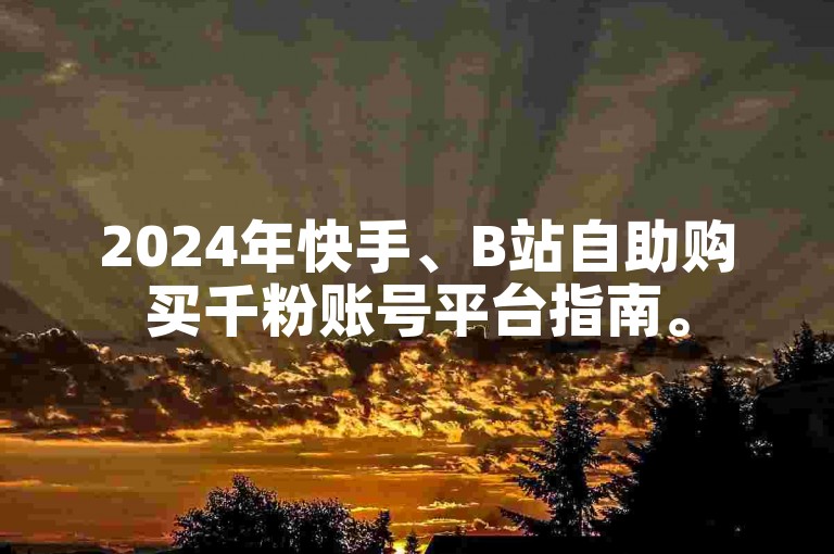 2024年快手、B站自助购买千粉账号平台指南。