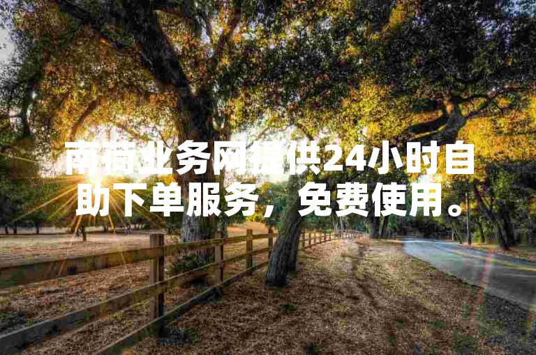 南荷业务网提供24小时自助下单服务，免费使用。