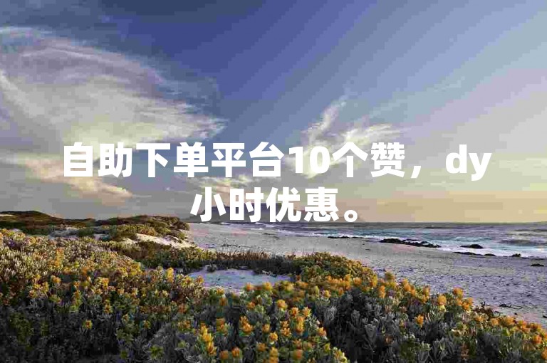 自助下单平台10个赞，dy小时优惠。