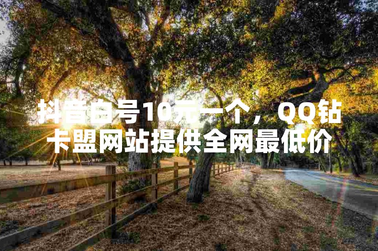 抖音白号10元一个，QQ钻卡盟网站提供全网最低价业务。