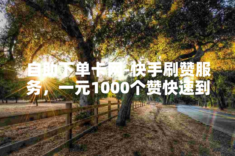 自助下单卡网-快手刷赞服务，一元1000个赞快速到账。