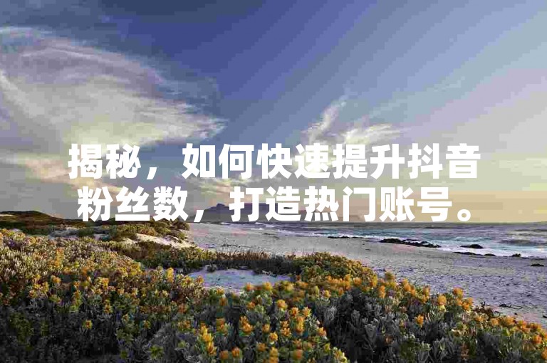 揭秘，如何快速提升抖音粉丝数，打造热门账号。
