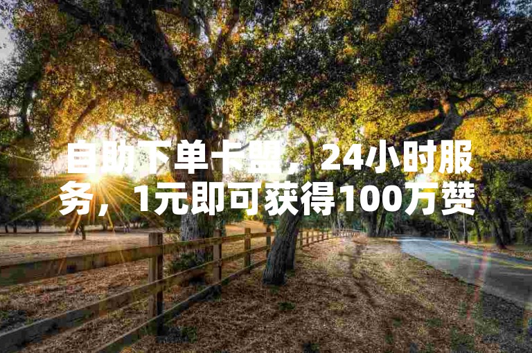 自助下单卡盟，24小时服务，1元即可获得100万赞。