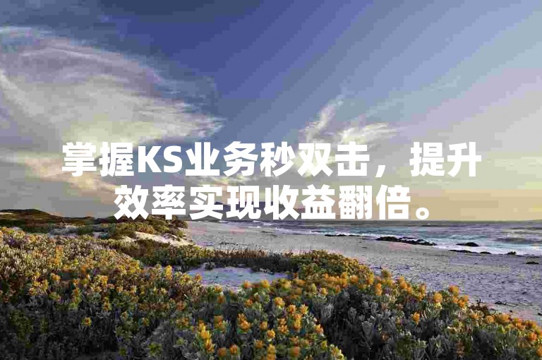 掌握KS业务秒双击，提升效率实现收益翻倍。