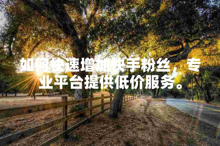 如何快速增加快手粉丝，专业平台提供低价服务。