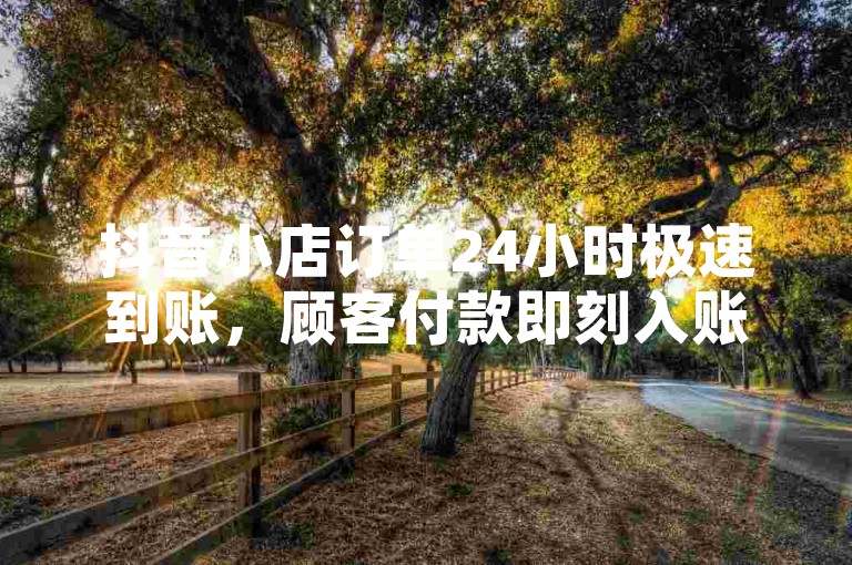 抖音小店订单24小时极速到账，顾客付款即刻入账。