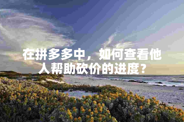 在拼多多中，如何查看他人帮助砍价的进度？