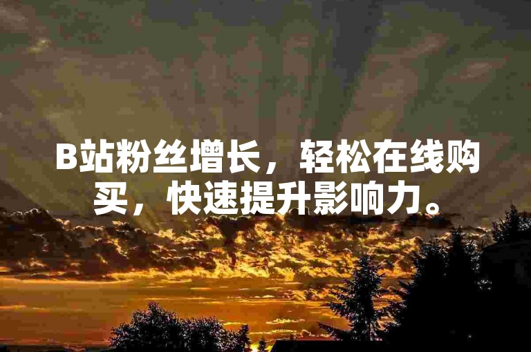 B站粉丝增长，轻松在线购买，快速提升影响力。