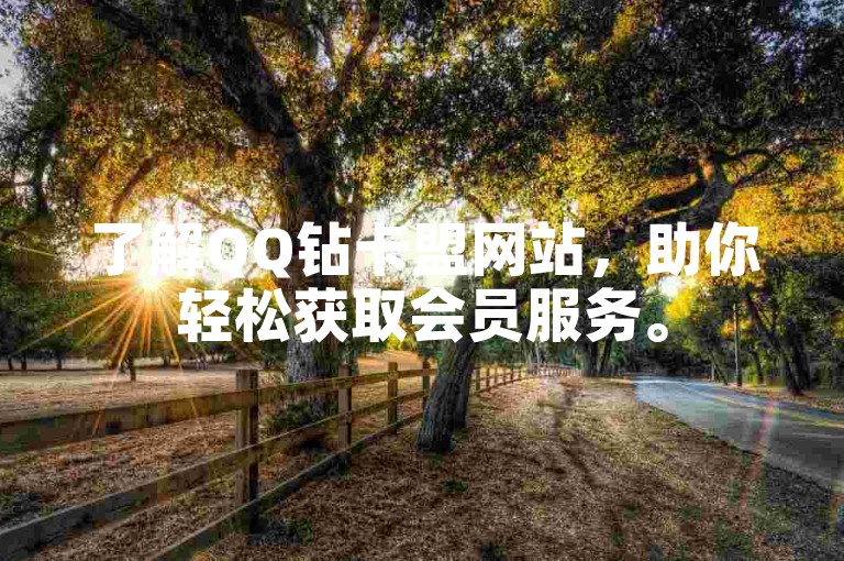 了解QQ钻卡盟网站，助你轻松获取会员服务。