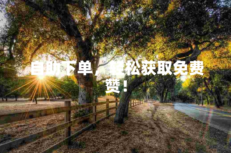 自助下单，轻松获取免费赞！