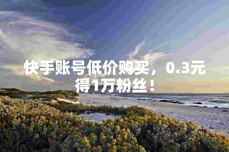 快手账号低价购买，0.3元得1万粉丝！