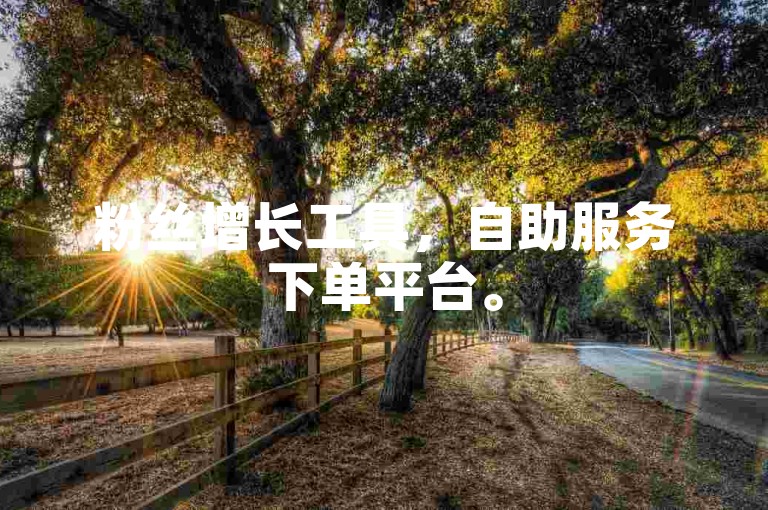 粉丝增长工具，自助服务下单平台。