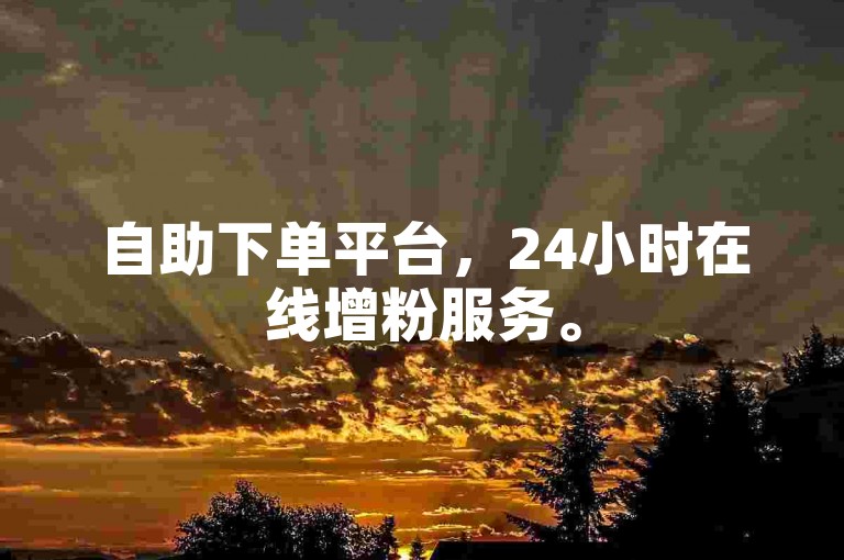 自助下单平台，24小时在线增粉服务。