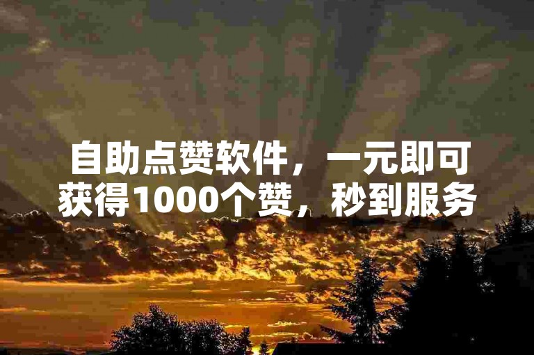 自助点赞软件，一元即可获得1000个赞，秒到服务。