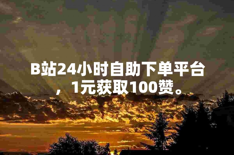 B站24小时自助下单平台，1元获取100赞。