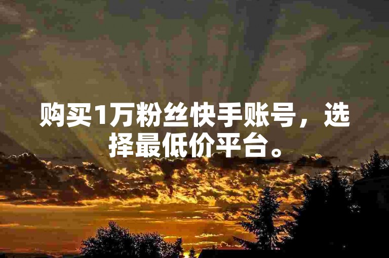 购买1万粉丝快手账号，选择最低价平台。