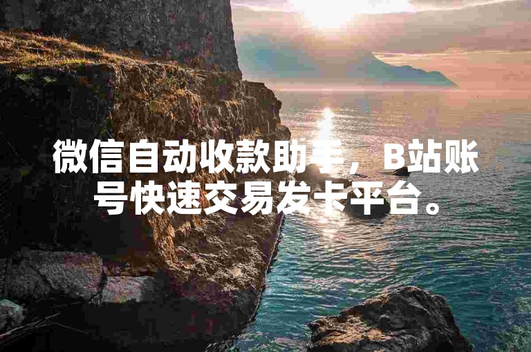 微信自动收款助手，B站账号快速交易发卡平台。