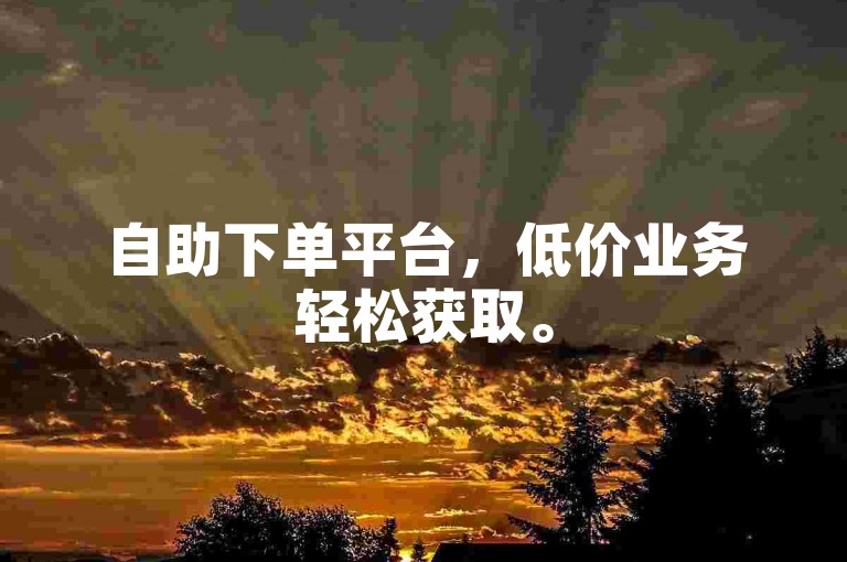 自助下单平台，低价业务轻松获取。