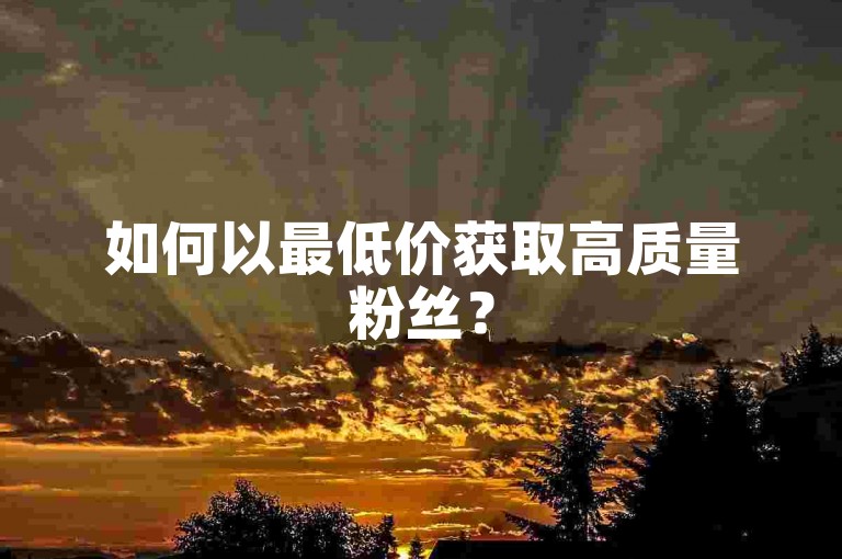 如何以最低价获取高质量粉丝？