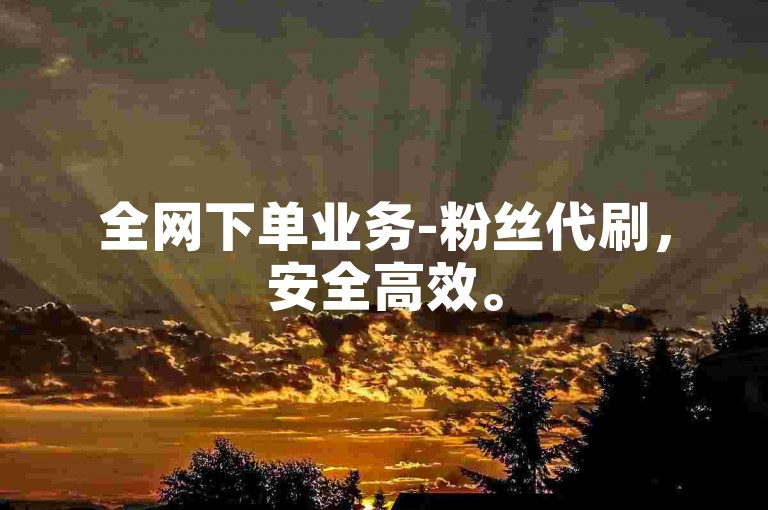 全网下单业务-粉丝代刷，安全高效。