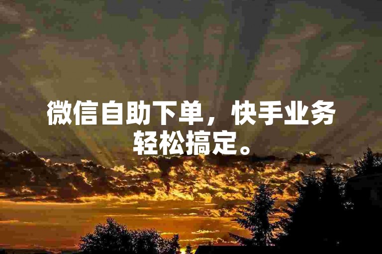 微信自助下单，快手业务轻松搞定。