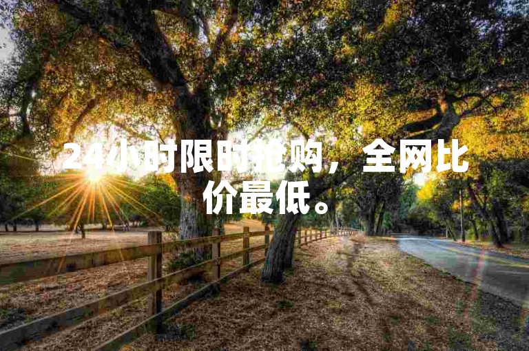 24小时限时抢购，全网比价最低。
