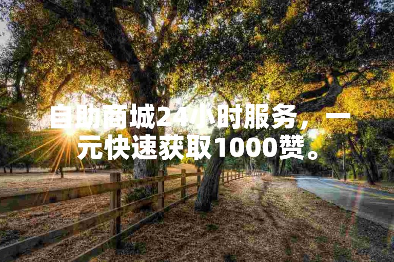 自助商城24小时服务，一元快速获取1000赞。
