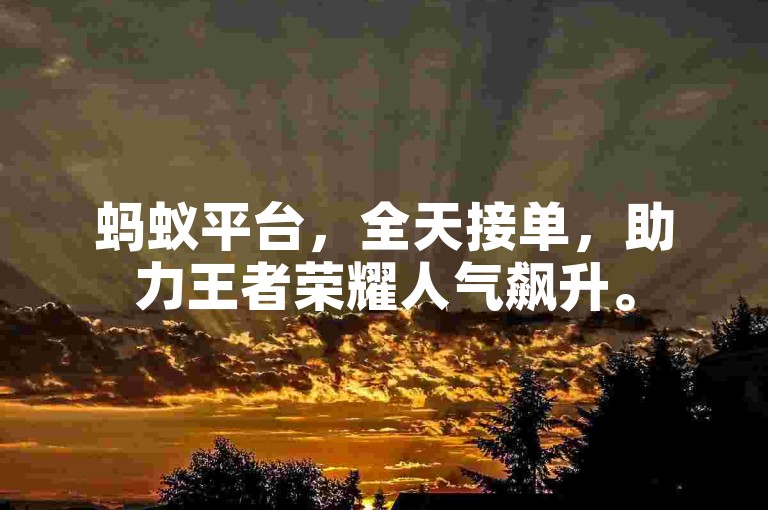 蚂蚁平台，全天接单，助力王者荣耀人气飙升。