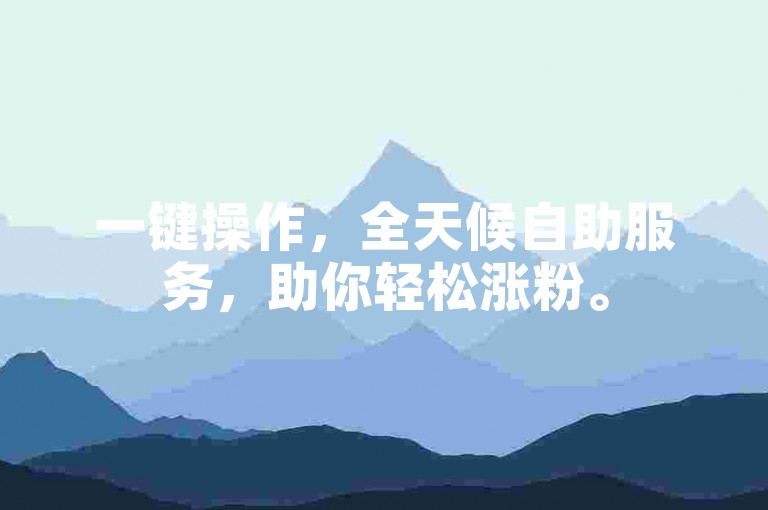 一键操作，全天候自助服务，助你轻松涨粉。