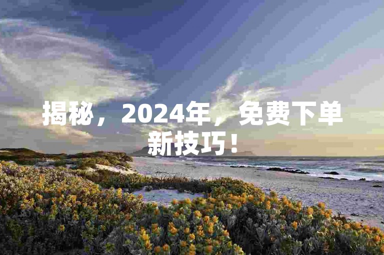 揭秘，2024年，免费下单新技巧！