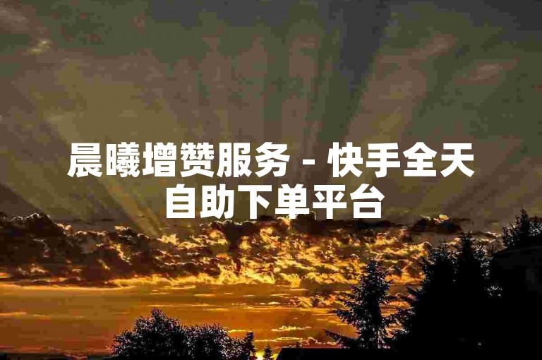 晨曦增赞服务 - 快手全天自助下单平台