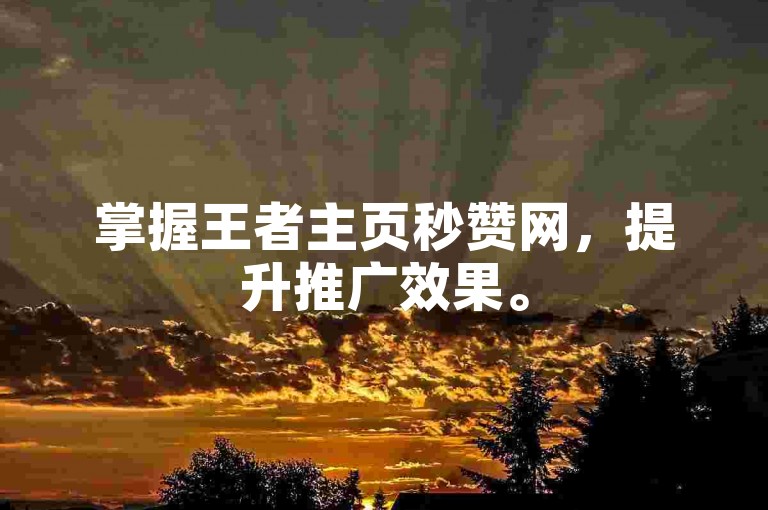 掌握王者主页秒赞网，提升推广效果。