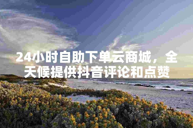 24小时自助下单云商城，全天候提供抖音评论和点赞服务。