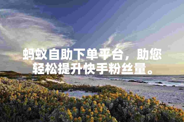 蚂蚁自助下单平台，助您轻松提升快手粉丝量。