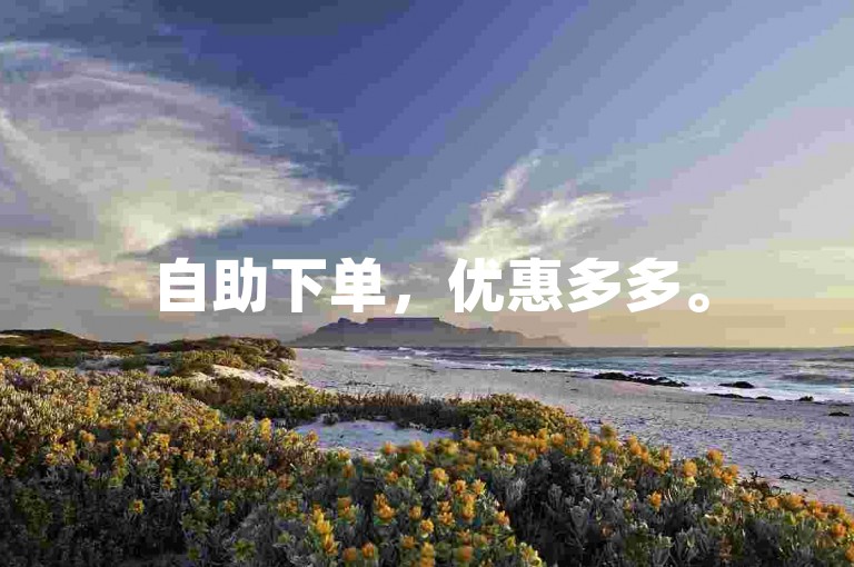 自助下单，优惠多多。