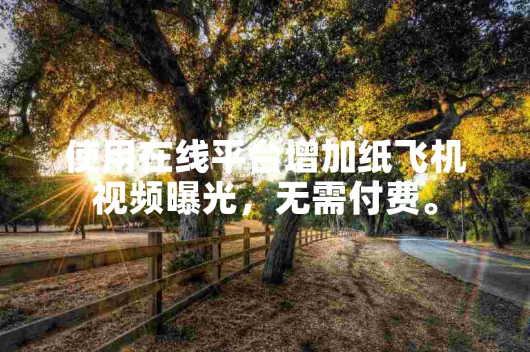 使用在线平台增加纸飞机视频曝光，无需付费。