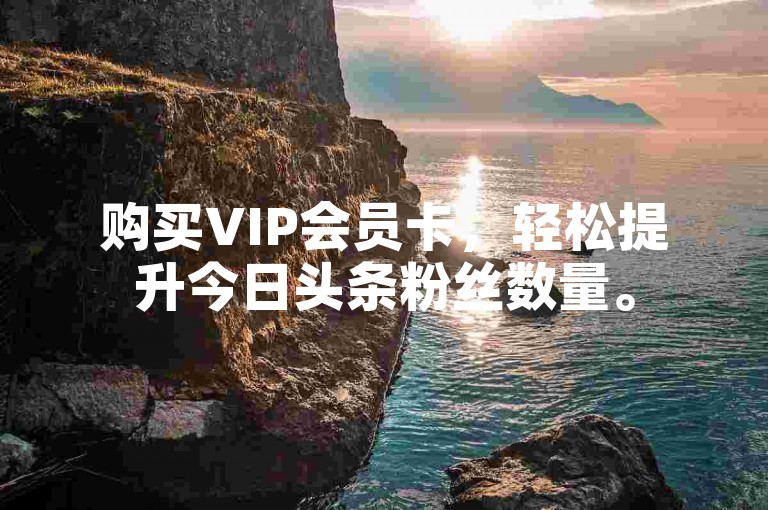 购买VIP会员卡，轻松提升今日头条粉丝数量。