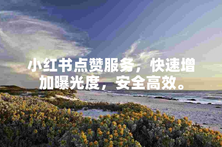 小红书点赞服务，快速增加曝光度，安全高效。